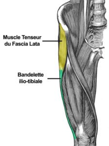 Blessures Triathlon : causes, traitements ᐅ CAREA Kiné Sport Paris