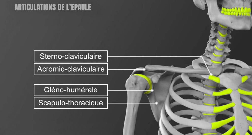 Articulations de l'épaule conflit sous acromial rééducation kiné du sport à paris